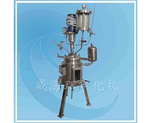 上海玻璃視窗反應釜