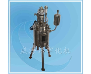 上海玻璃視窗反應釜