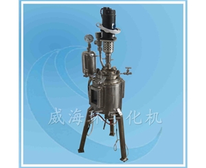 上海316L+玻璃反應釜
