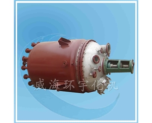 上海800L Reactor
