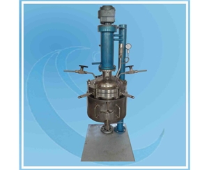 上海Lift  Glass Reactor