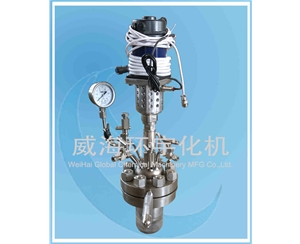 上海0.5L 微型反應(yīng)釜