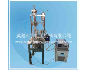 上海2L實驗室反應(yīng)釜帶冷凝裝置