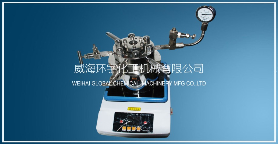 上海0.2L高壓實驗釜配磁子攪拌器