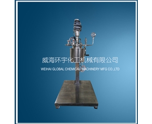 上海5L升降反應釜