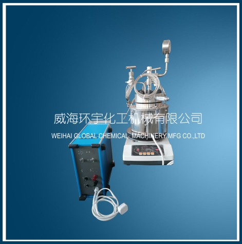 上海0.3L磁子反應釜
